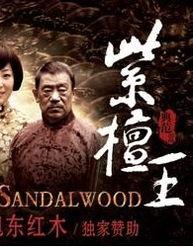 紫檀王电视剧,传奇匠心，揭秘古董家具背后的传奇人生